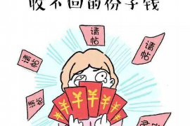 宜阳如何避免债务纠纷？专业追讨公司教您应对之策